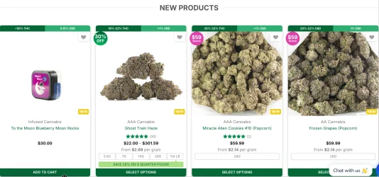 AIWebFilter: Why AI is the Revolution in Future Ad Blocking